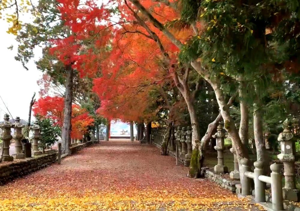 積田神社　紅葉